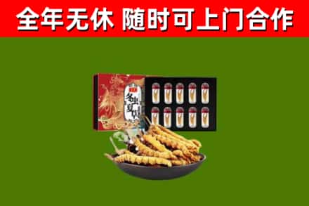 阳泉回收冬虫夏草价格